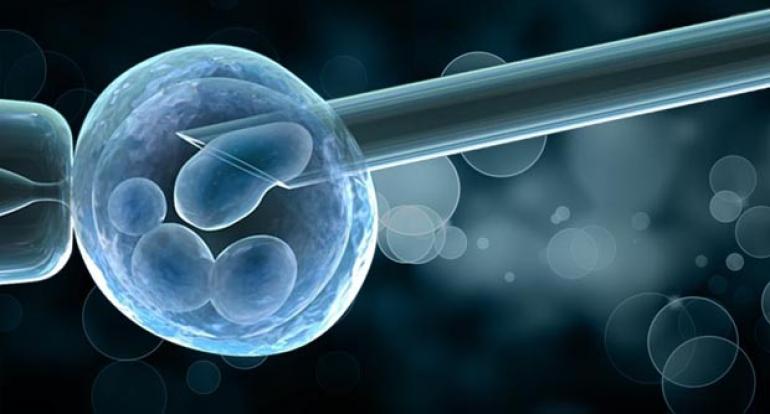 Preimplantation Genetic Testing